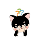 くろチワワのまめちゃんスタンプ♪（個別スタンプ：24）