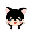 くろチワワのまめちゃんスタンプ♪（個別スタンプ：39）