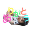 りこぽん（個別スタンプ：14）