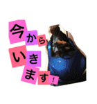 ちびーーーズ（個別スタンプ：9）