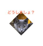 misa was（個別スタンプ：1）
