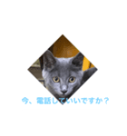 misa was（個別スタンプ：4）