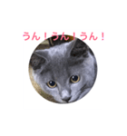 misa was（個別スタンプ：6）