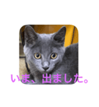 misa was（個別スタンプ：7）