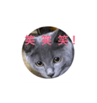 misa was（個別スタンプ：8）