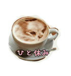 pet ramu（個別スタンプ：6）