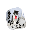 ノウカスタンプ2（個別スタンプ：2）