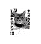 ちゃらみん（個別スタンプ：5）