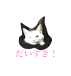loveLucy5（個別スタンプ：2）