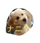 puppy's she（個別スタンプ：2）