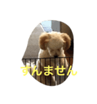 puppy's she（個別スタンプ：5）
