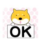 柴犬のぽち（個別スタンプ：5）