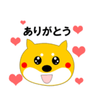 柴犬のぽち（個別スタンプ：8）