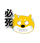 柴犬のぽち（個別スタンプ：11）