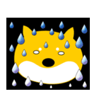 柴犬のぽち（個別スタンプ：15）