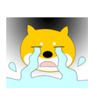 柴犬のぽち（個別スタンプ：16）