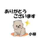 小柳さん用の名前スタンプ・子犬イラスト（個別スタンプ：2）