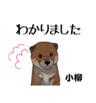小柳さん用の名前スタンプ・子犬イラスト（個別スタンプ：5）