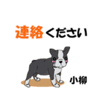 小柳さん用の名前スタンプ・子犬イラスト（個別スタンプ：12）