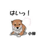 小柳さん用の名前スタンプ・子犬イラスト（個別スタンプ：22）