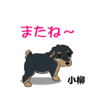 小柳さん用の名前スタンプ・子犬イラスト（個別スタンプ：23）