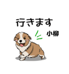 小柳さん用の名前スタンプ・子犬イラスト（個別スタンプ：30）