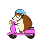 Hedgehog_official（個別スタンプ：10）