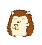 Hedgehog_official（個別スタンプ：15）