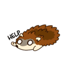 Hedgehog_official（個別スタンプ：22）