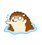 Hedgehog_official（個別スタンプ：38）
