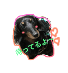 蘭イヴチョコりくライル（個別スタンプ：2）