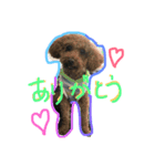 蘭イヴチョコりくライル（個別スタンプ：3）