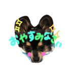 蘭イヴチョコりくライル（個別スタンプ：4）