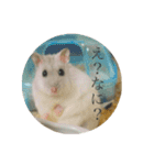 ジャンガリアンハムスター おもちくん（個別スタンプ：14）