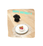 黒プーCocoののほほん生活（個別スタンプ：6）