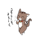 Energetic cat Jal（個別スタンプ：8）