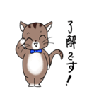 Energetic cat Jal（個別スタンプ：10）