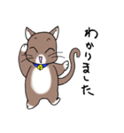 Energetic cat Jal（個別スタンプ：11）