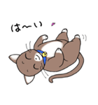 Energetic cat Jal（個別スタンプ：13）