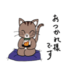 Energetic cat Jal（個別スタンプ：17）