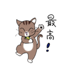 Energetic cat Jal（個別スタンプ：25）