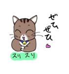 Energetic cat Jal（個別スタンプ：29）