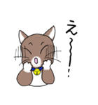 Energetic cat Jal（個別スタンプ：37）