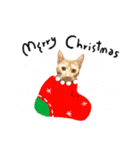 SALMON XMAS（個別スタンプ：1）