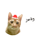 SALMON XMAS（個別スタンプ：3）
