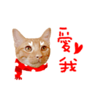 SALMON XMAS（個別スタンプ：4）