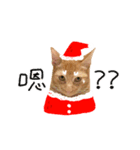 SALMON XMAS（個別スタンプ：5）