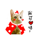 SALMON XMAS（個別スタンプ：6）