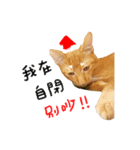 SALMON XMAS（個別スタンプ：8）