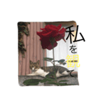 ねこねこねこここ（個別スタンプ：8）